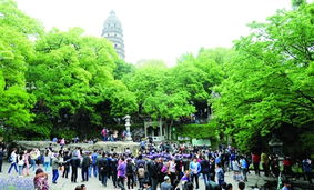 旅游服務新篇章 以品質提升為核心，借力廣告與傳播媒體運營引客來